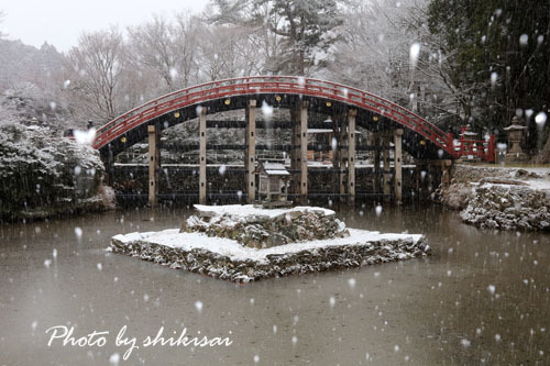 丹生都比売神社雪化粧_a0135396_18331713.jpg