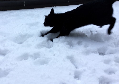 スカート制作 (2)_e0358096_19012415.jpeg