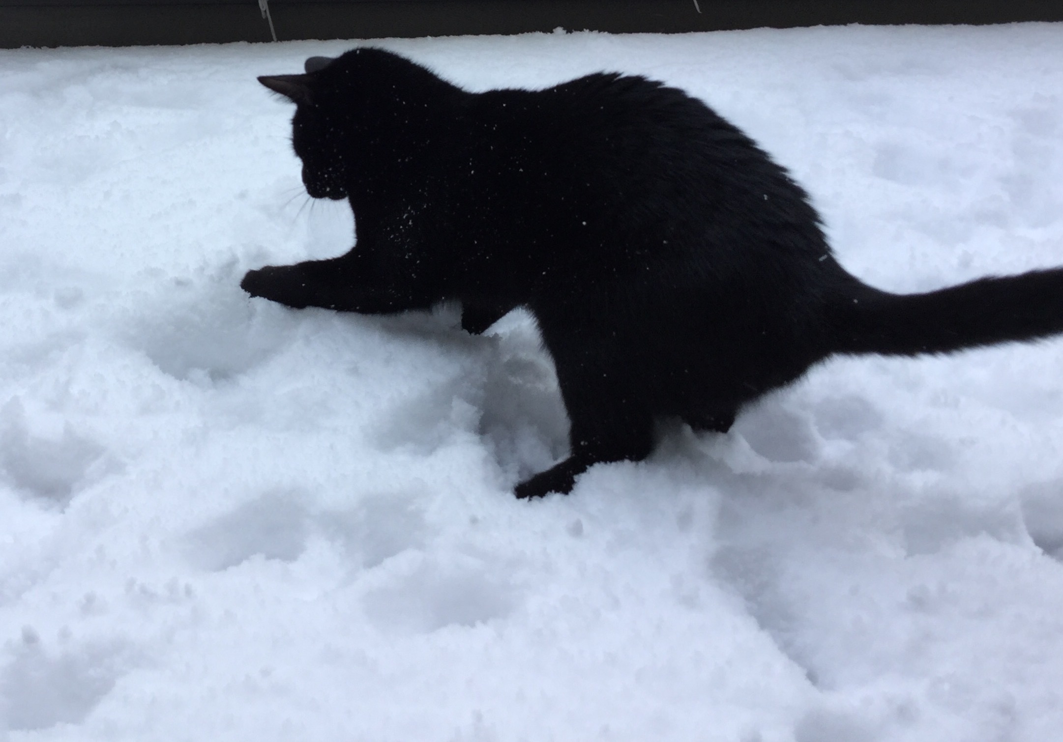 スカート制作 (2)_e0358096_19020630.jpeg