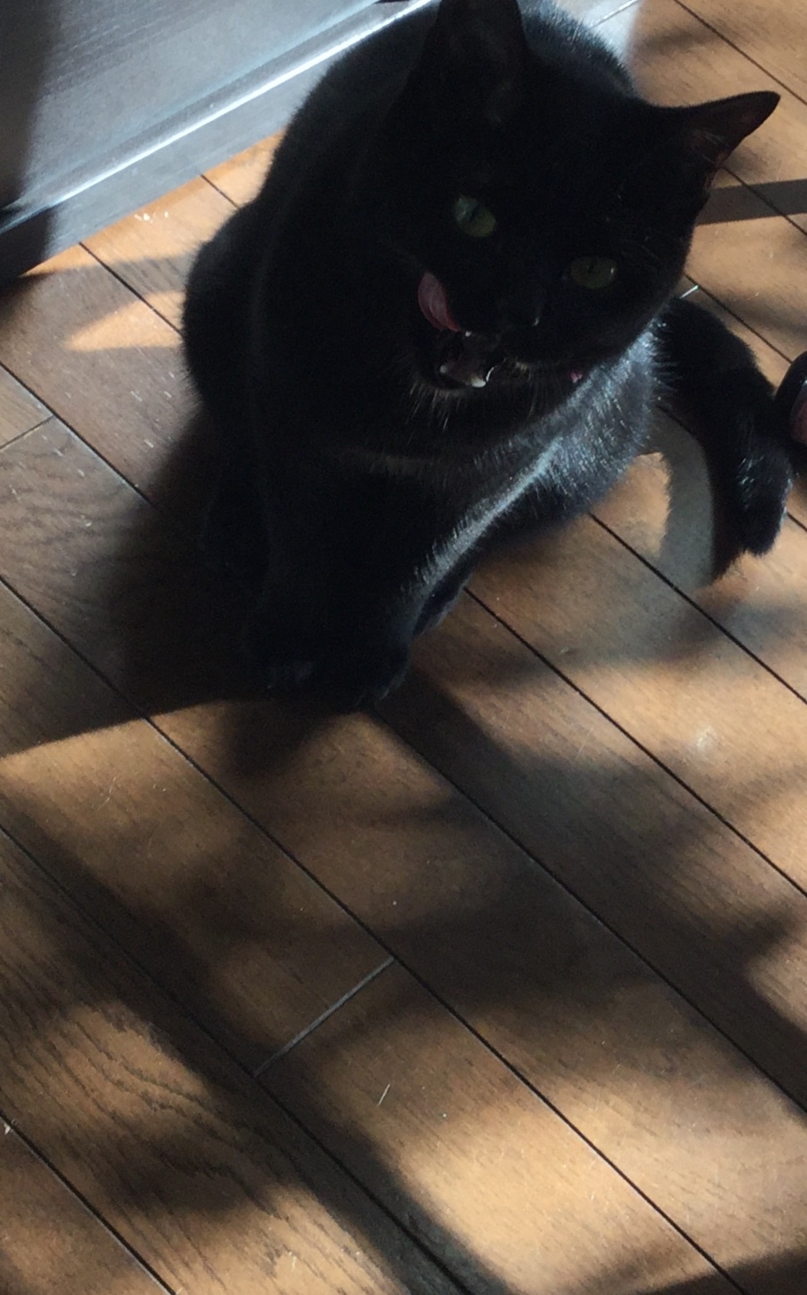 スカート制作 (2)_e0358096_19402194.jpeg