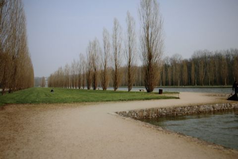 c0090198_2004076.jpg