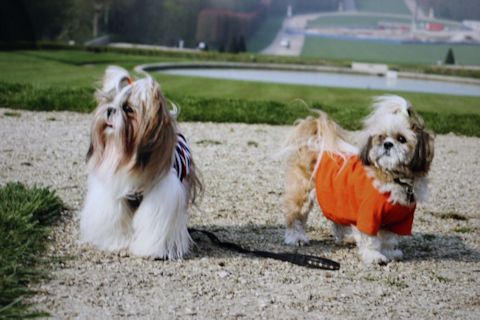 c0090198_201140.jpg