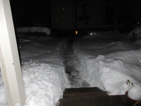 a0203003_21135555.jpg