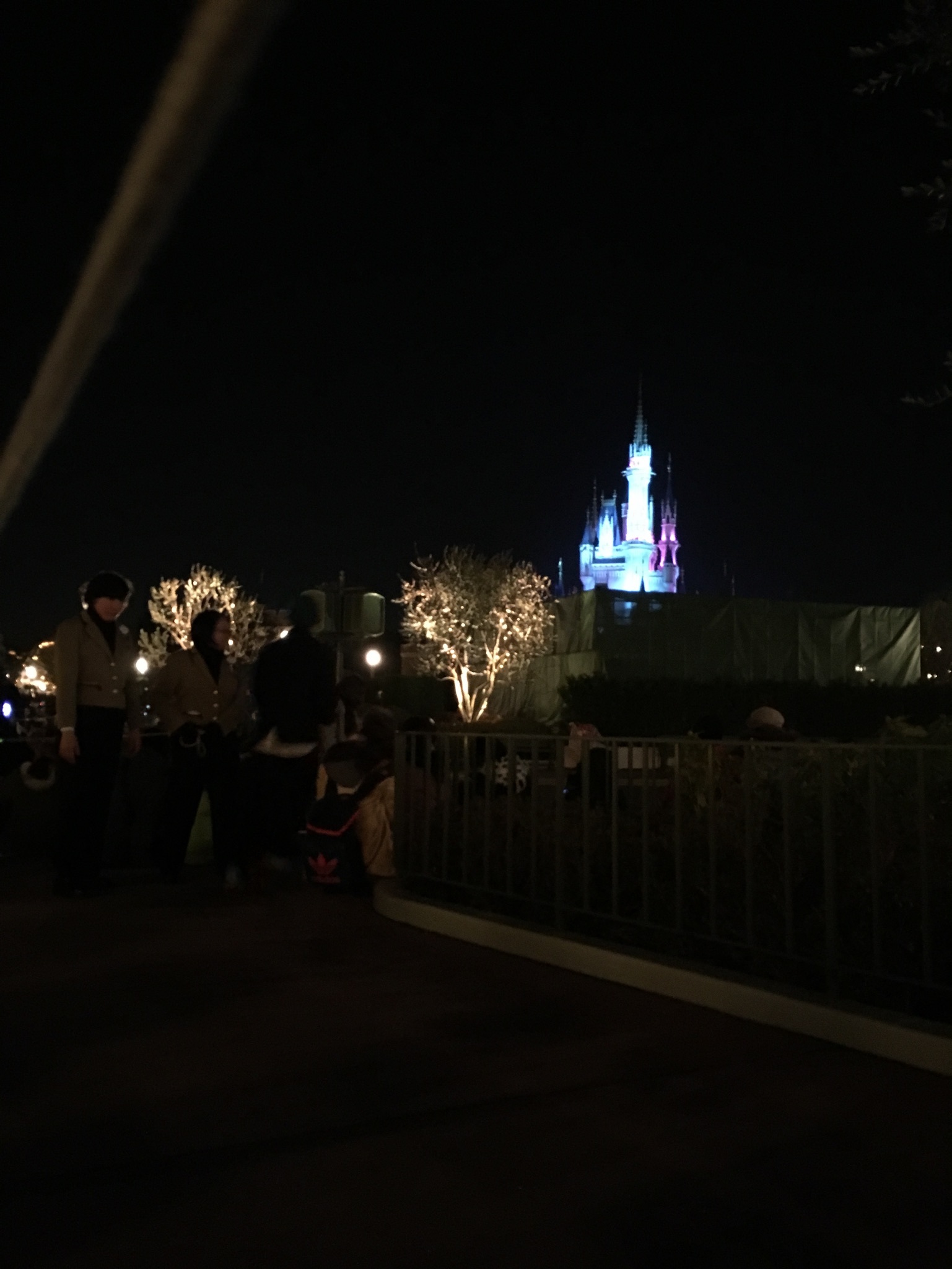 ディズニー　ニューイヤーズイブ2017-2018に行ってきました_e0176003_17112881.jpg