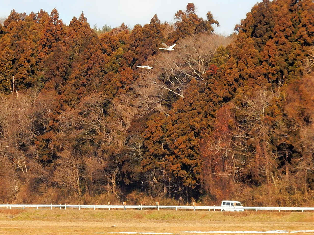 a0148206_11144602.jpg