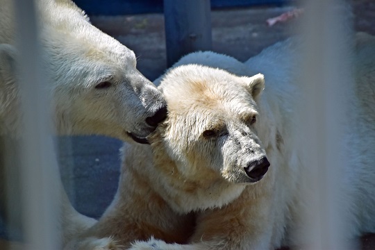 a0151913_2103096.jpg