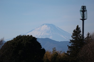 望遠で撮ってみました_e0373815_13163440.jpg