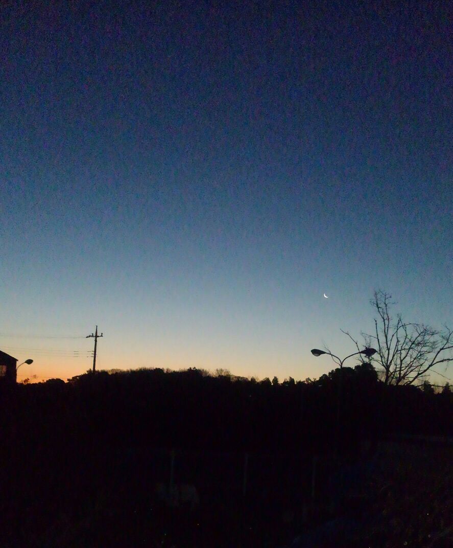 微かに微妙な微笑み 目から鱗ンタクトレンズ