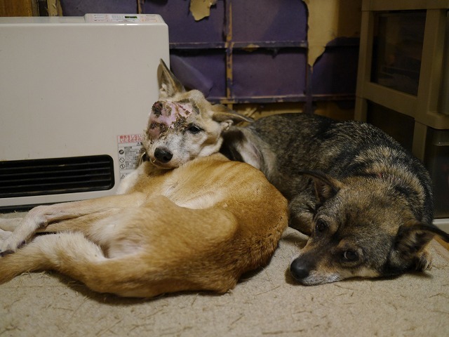 f0282319_06214082.jpg