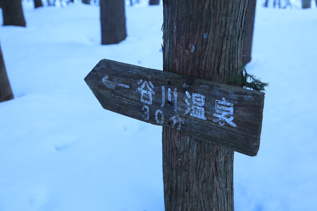 b0062024_23283345.jpg