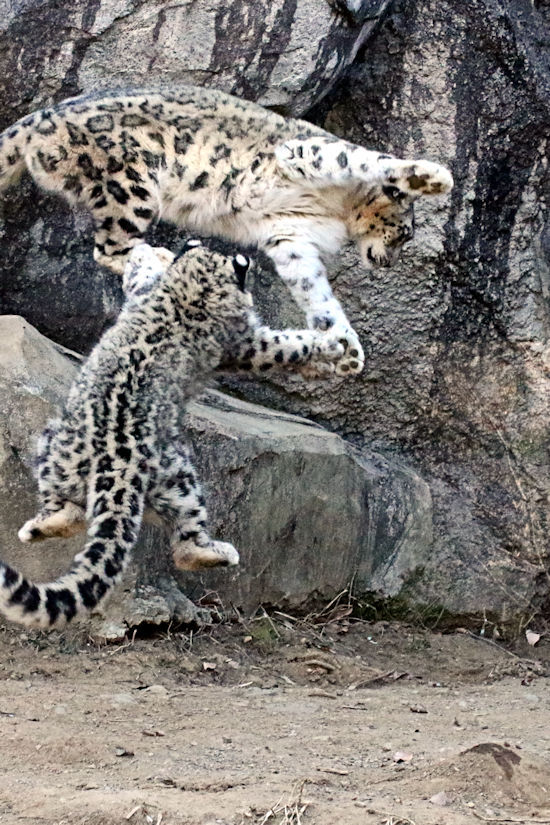 f0224624_05125895.jpg