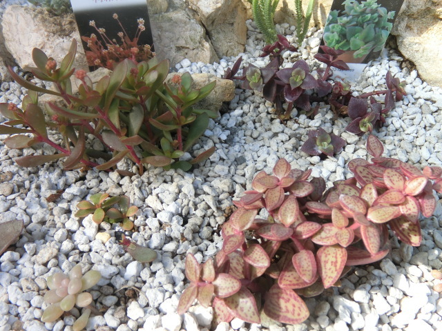 f0325326_22034633.jpg