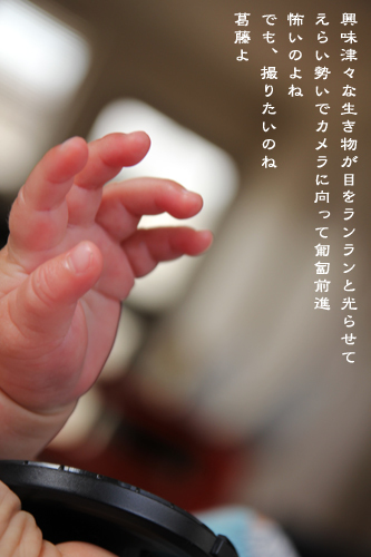 d0042827_14310831.jpg