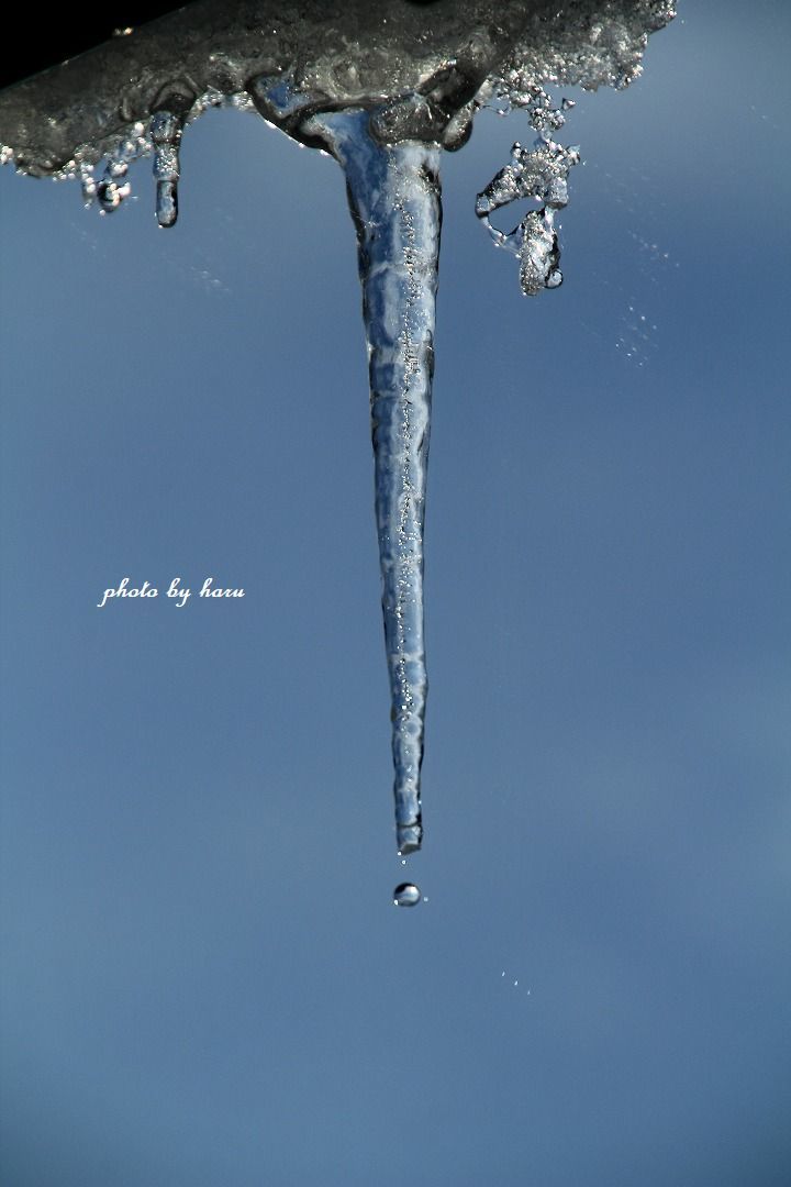 f0297537_10284457.jpg