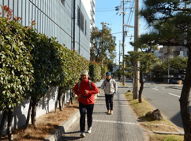 e0371039_136423.gif