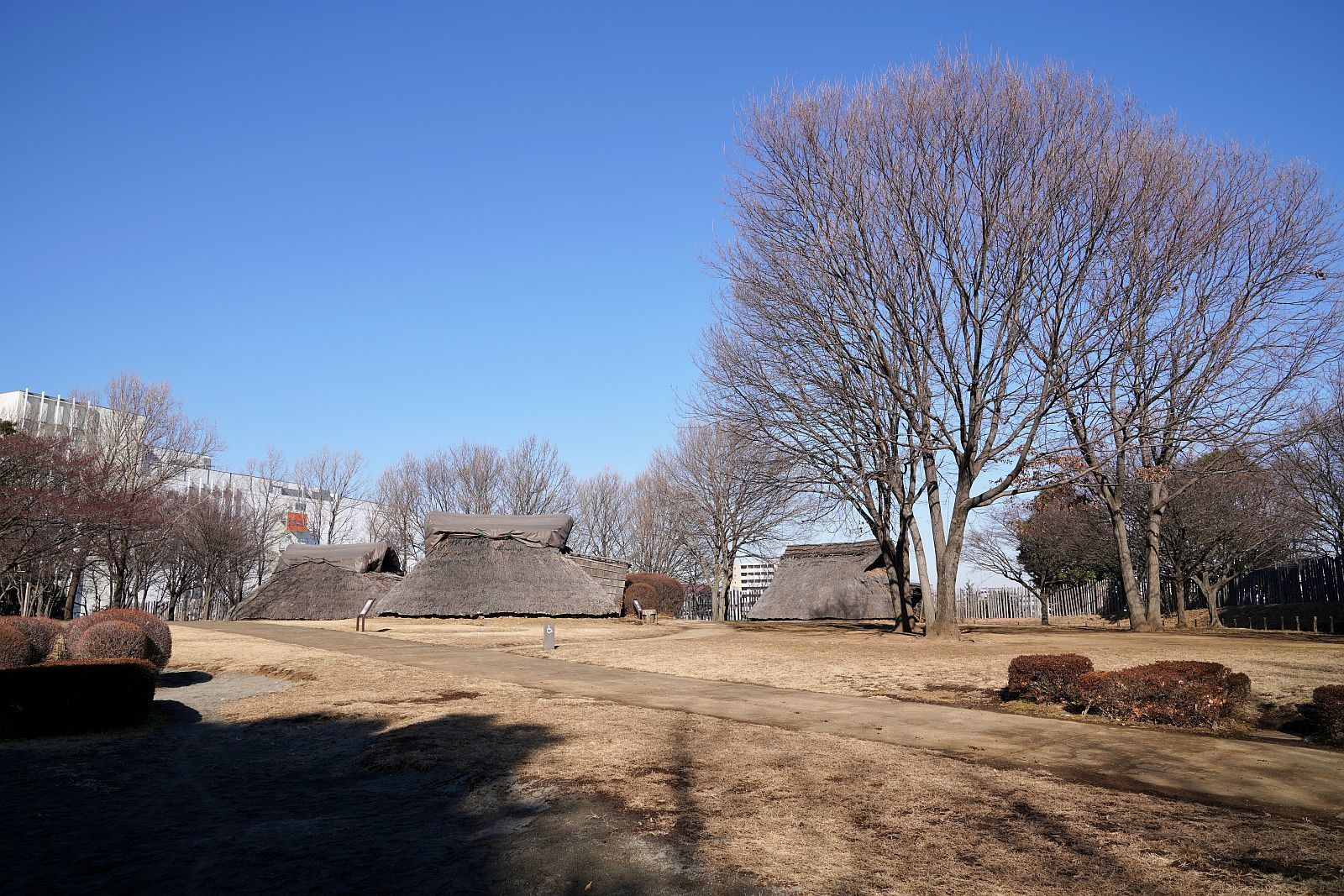 横浜街角スナップ　大塚・歳勝土遺跡公園　2018.1_b0212342_15412153.jpg