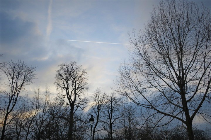 e0300042_04162599.jpg