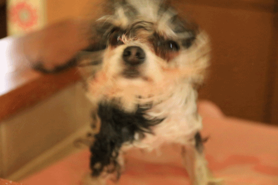 c0145250_09472668.gif