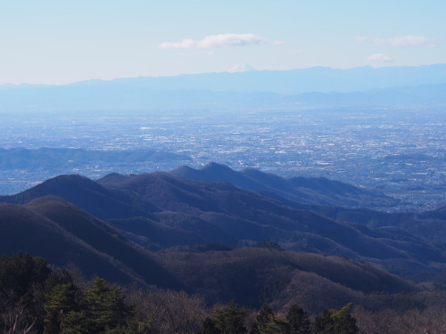 b0335256_11365673.jpg