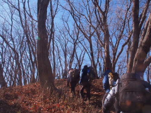 鳴神山から吾妻山縦走　　2018.１.14（日）_b0335256_11400008.jpg