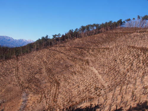 鳴神山から吾妻山縦走　　2018.１.14（日）_b0335256_11405742.jpg