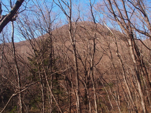 鳴神山から吾妻山縦走　　2018.１.14（日）_b0335256_11422407.jpg