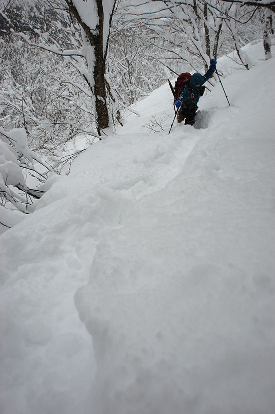 正月明けのダイエッ登山　＠東谷山_f0016656_22491367.jpg