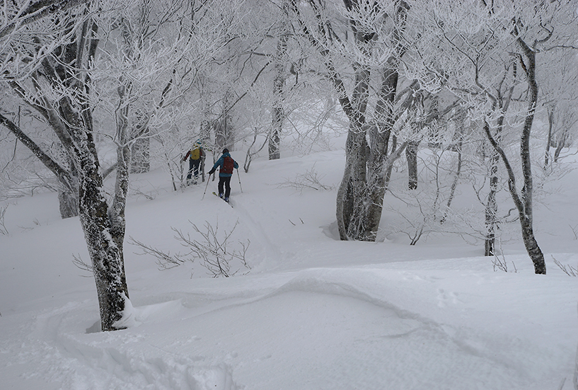 正月明けのダイエッ登山　＠東谷山_f0016656_22520693.jpg