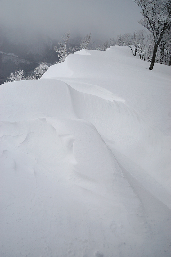 正月明けのダイエッ登山　＠東谷山_f0016656_22534488.jpg