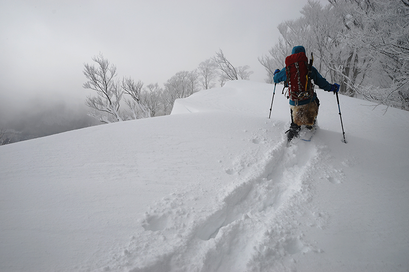 正月明けのダイエッ登山　＠東谷山_f0016656_22535107.jpg