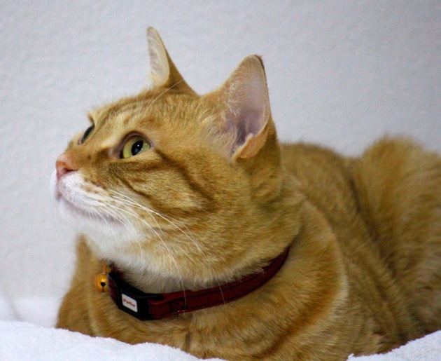 a0248459_08091254.jpg