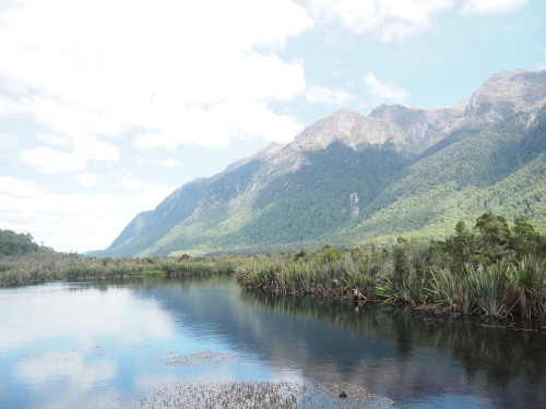 大迫力のユニークな地形！Fiordland National ParkでMilford Soundのクルージング ～NZバスの旅 18日目～_c0351060_01164998.jpg