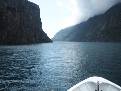 大迫力のユニークな地形！Fiordland National ParkでMilford Soundのクルージング ～NZバスの旅 18日目～_c0351060_02255693.jpg