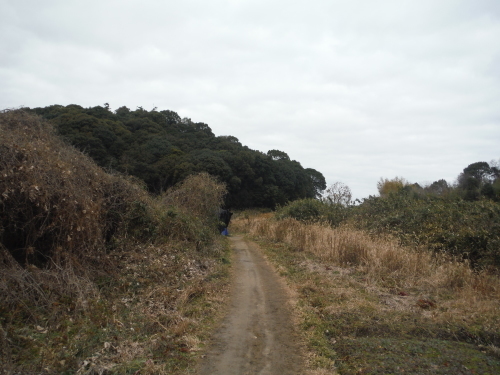 b0332867_21434767.jpg