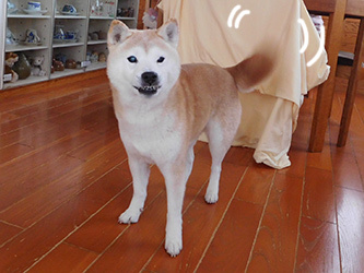b0057675_09574231.jpg