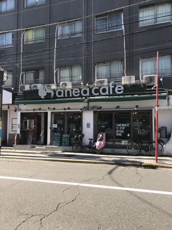 b0193480_15344031.jpeg
