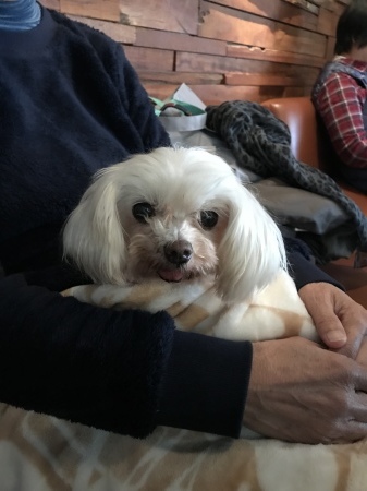 b0193480_15345681.jpeg