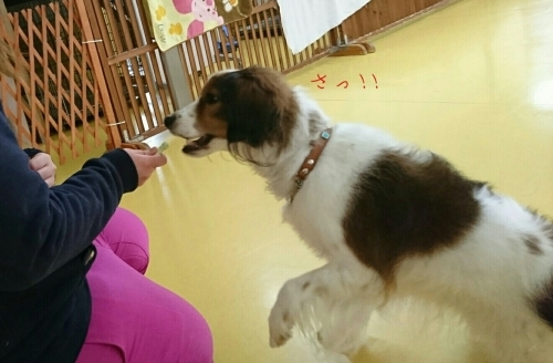 インスタ?いえ、おやつ😋🍩🍦_f0357682_23541775.jpg