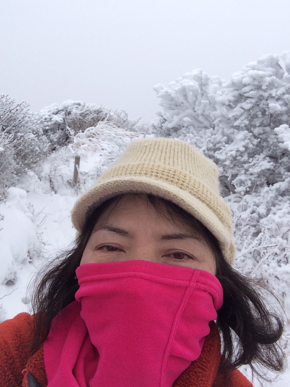 f0357487_22103183.jpeg