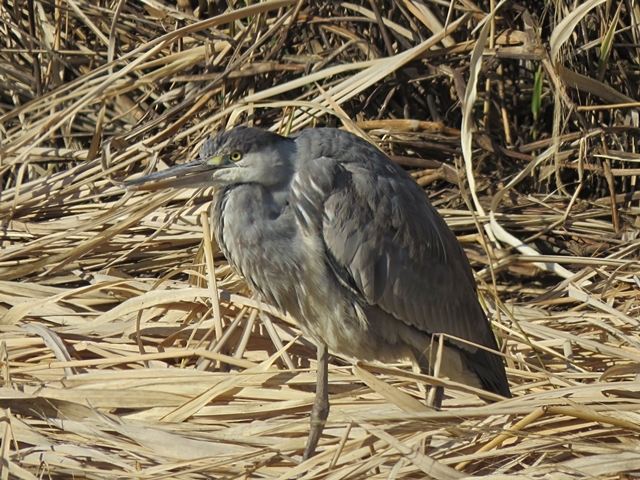 f0357487_22285092.jpg