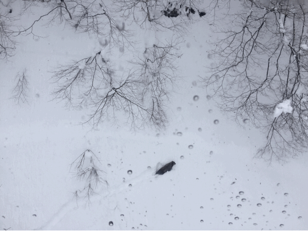 d0182188_19315519.gif