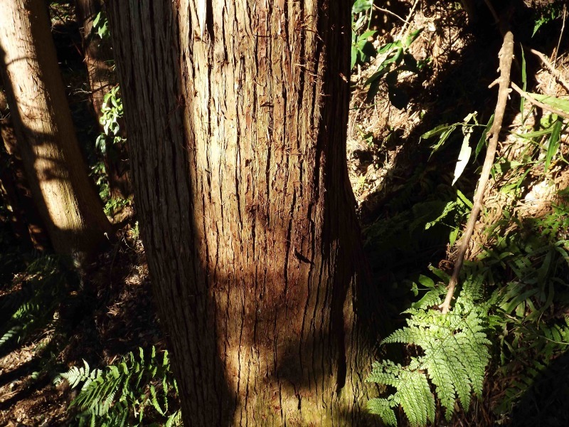 e0149593_22175606.jpg