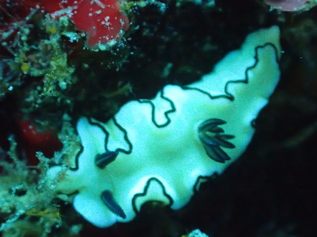 e0115199_14210707.jpg