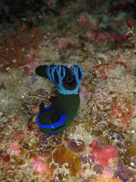 e0115199_14380630.jpg