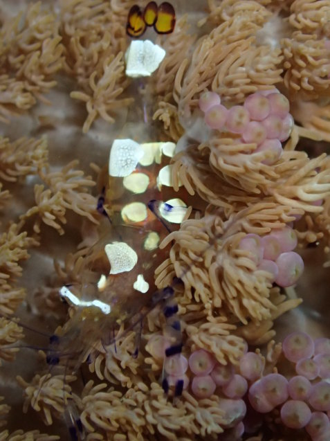 e0115199_15500949.jpg