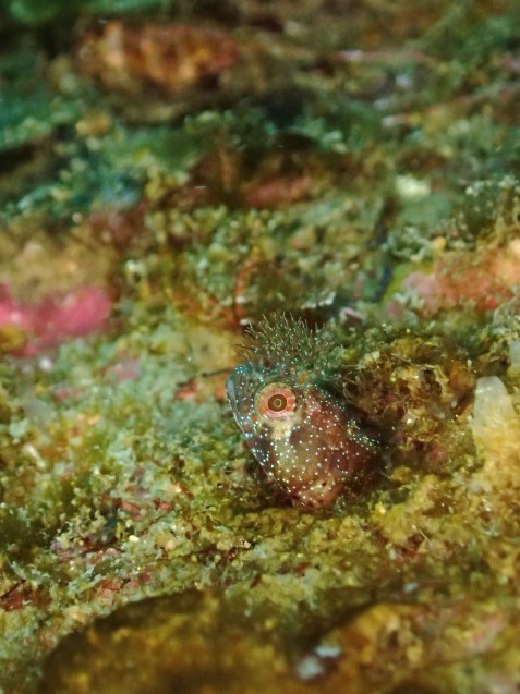 e0115199_15534579.jpg