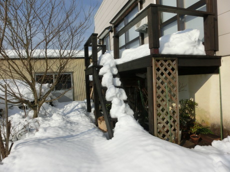 a0203003_18244731.jpg