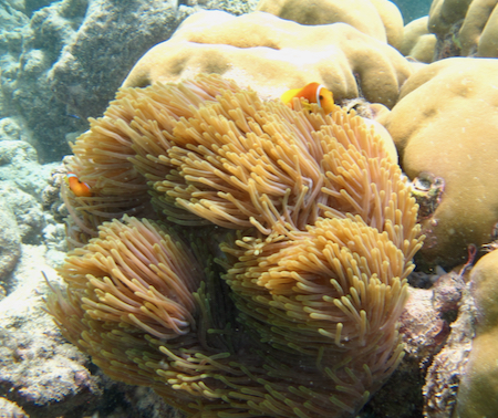 e0338303_92009.jpg