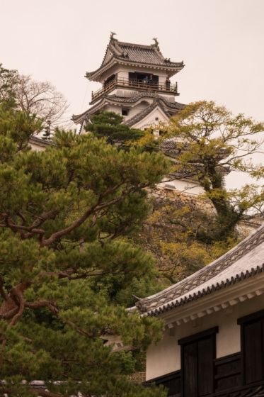 高知県高知市「高知城」_a0096313_20150202.jpg