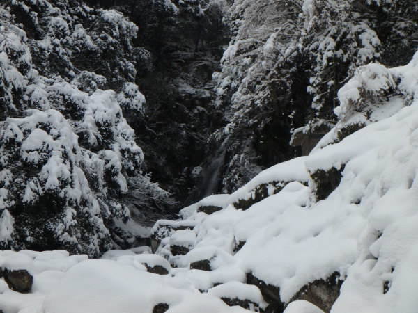 雪山登山のはずが_d0198313_21240131.jpg